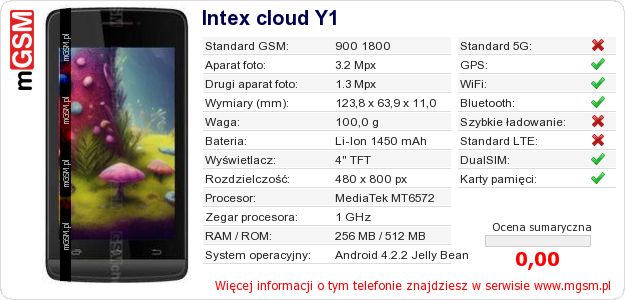 Dane telefonu Intex cloud Y1