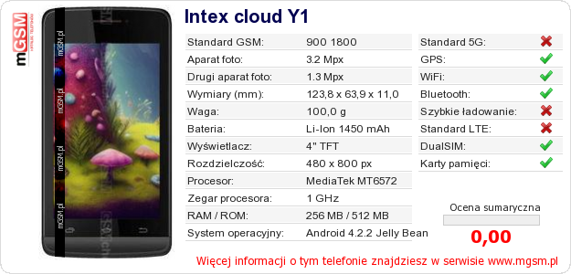 Dane telefonu Intex cloud Y1