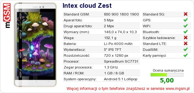 Dane telefonu Intex cloud Zest