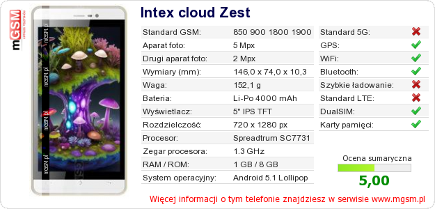 Dane telefonu Intex cloud Zest