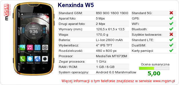 Dane telefonu Kenxinda W5