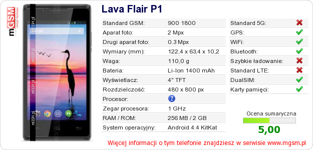 Dane telefonu Lava Flair P1