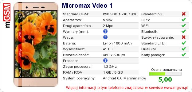 Dane telefonu Micromax Vdeo 1