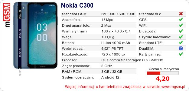 Dane telefonu Nokia C300