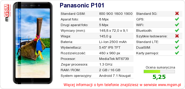 Dane telefonu Panasonic P101