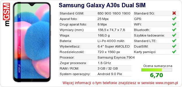 Dane telefonu Samsung Galaxy A30s Dual SIM Dane telefonu Samsung Galaxy A30s Dual SIM