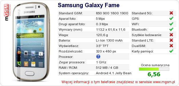 Dane telefonu Samsung Galaxy Fame