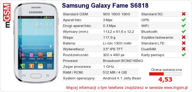 Dane telefonu Samsung Galaxy Fame S6818