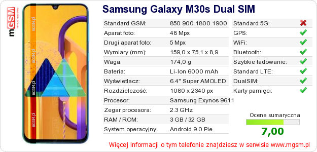 Dane telefonu Samsung Galaxy M30s Dual SIM