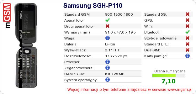 Dane telefonu Samsung SGH-P110
