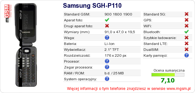 Dane telefonu Samsung SGH-P110
