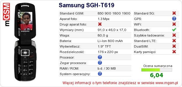Dane telefonu Samsung SGH-T619 Dane telefonu Samsung SGH-T619