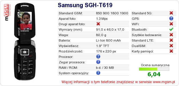 Dane telefonu Samsung SGH-T619