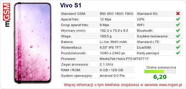 Dane telefonu Vivo S1 Dane telefonu Vivo S1