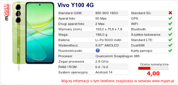 Dane telefonu Vivo Y100 4G Dane telefonu Vivo Y100 4G