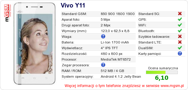 Dane telefonu Vivo Y11