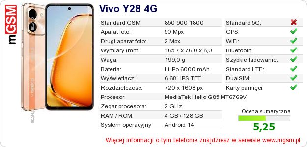 Dane telefonu Vivo Y28 4G