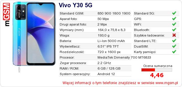 Dane telefonu Vivo Y30 5G