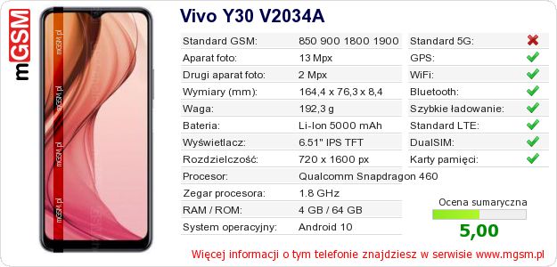 Dane telefonu Vivo Y30 V2034A