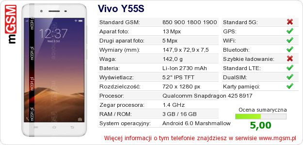 Dane telefonu Vivo Y55S Dane telefonu Vivo Y55S
