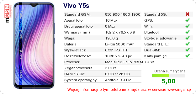 Dane telefonu Vivo Y5s