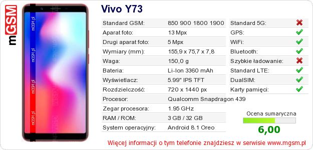 Dane telefonu Vivo Y73