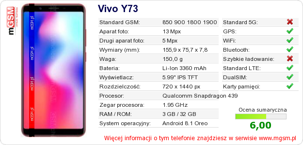 Dane telefonu Vivo Y73 Dane telefonu Vivo Y73