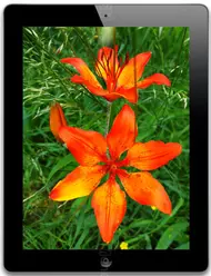 Galeria zdjęć telefonu Apple iPad 4 128 GB