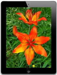 Galeria zdjęć telefonu Apple iPad 4 16 GB