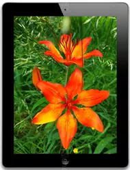 Galeria zdjęć telefonu Apple iPad 4 64 GB