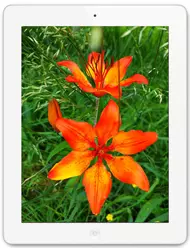 Galeria zdjęć telefonu Apple iPad 4 Wi-Fi 128 GB