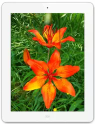 Galeria zdjęć telefonu Apple iPad 4 Wi-Fi 32 GB