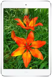 Galeria zdjęć telefonu Apple iPad mini 64 GB