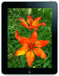 Galeria zdjęć telefonu Apple iPad Wi-Fi 64 GB