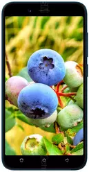 Galeria zdjęć telefonu Benco Y40