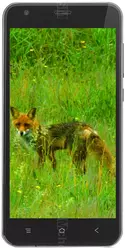 Galeria zdjęć telefonu Black Fox B3