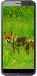 Galeria zdjęć telefonu Black Fox B4 Mini
