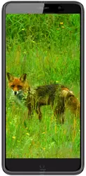 Galeria zdjęć telefonu Black Fox B6 Fox