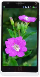 Galeria zdjęć telefonu Coolpad 8730