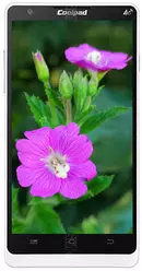 Galeria zdjęć telefonu Coolpad 8736