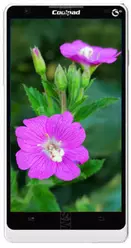 Galeria zdjęć telefonu Coolpad 8920