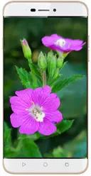 Galeria zdjęć telefonu Coolpad Note 3S