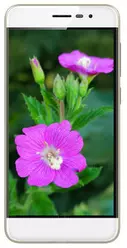 Galeria zdjęć telefonu Coolpad Torino S