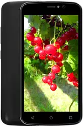 Galeria zdjęć telefonu Dexp Z250