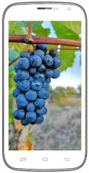 Galeria zdjęć telefonu Doogee Discovery DG500