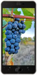 Galeria zdjęć telefonu Doogee X20L
