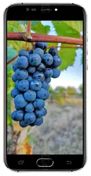 Galeria zdjęć telefonu Doogee X9 Mini