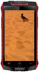 Galeria zdjęć telefonu Ginzzu RS8501