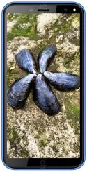 Galeria zdjęć telefonu I Kall K7