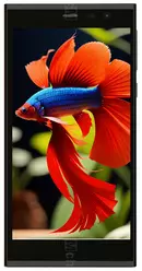 Galeria zdjęć telefonu Intex Aqua Fish